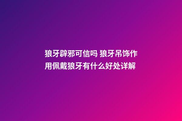 狼牙辟邪可信吗 狼牙吊饰作用佩戴狼牙有什么好处详解